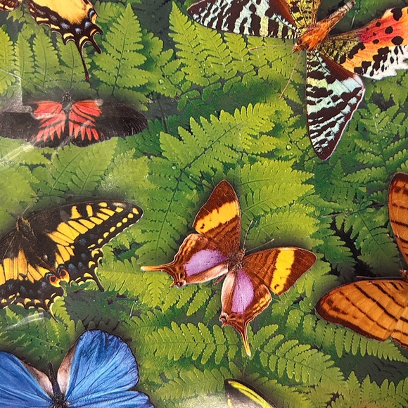 Meet your Posher, She Rock - Picture 1 of 1